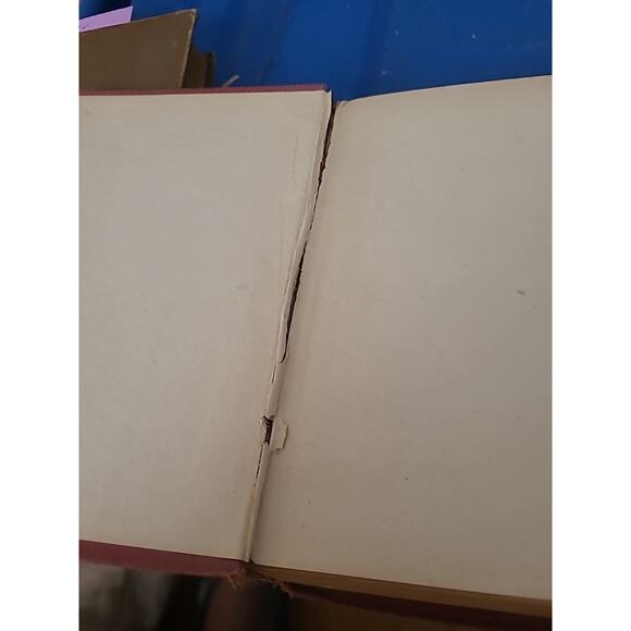 the hunchback of notre dame avon edition F.m. Lupton Rare Vintage Amazing - Picture 4 of 5